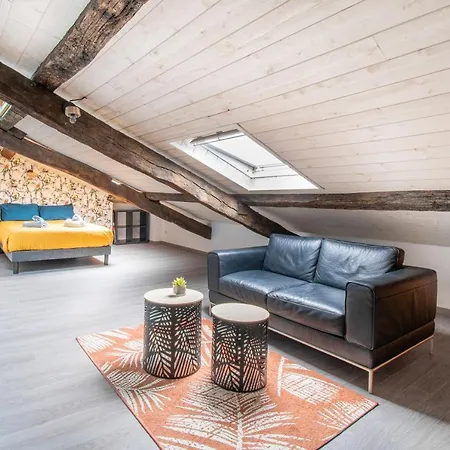 アパート T3 Duplex De Charme Au Coeur Du Quartier Historique