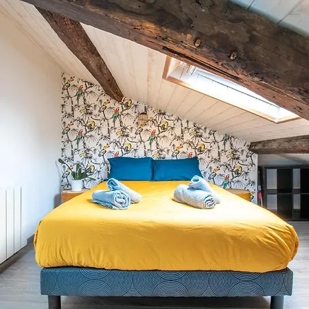 T3 Duplex De Charme Au Coeur Du Quartier Historique アパート