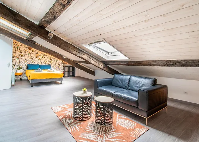 Apartmán T3 Duplex De Charme Au Coeur Du Quartier Historique *