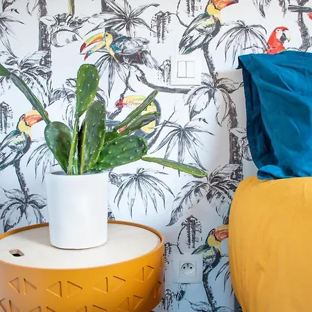 Apartamento T3 Duplex De Charme Au Coeur Du Quartier Historique